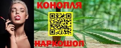 сатива Анапа