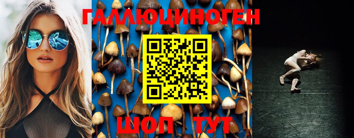 сколько стоит  Вход с VPN  Людиново  Псилоцибиновые грибы Magic Shrooms 