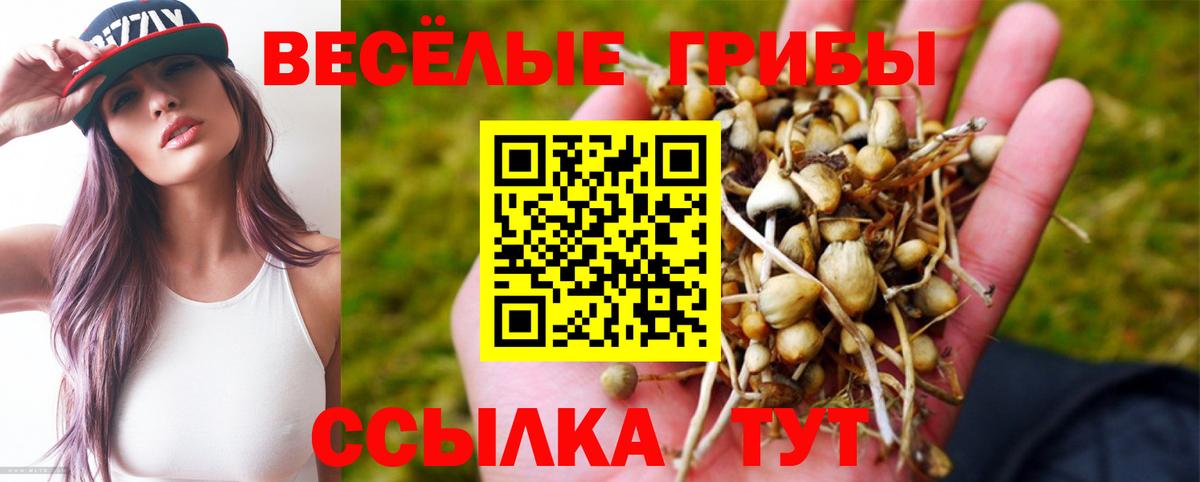 Галлюциногенные грибы Psilocybine cubensis Людиново